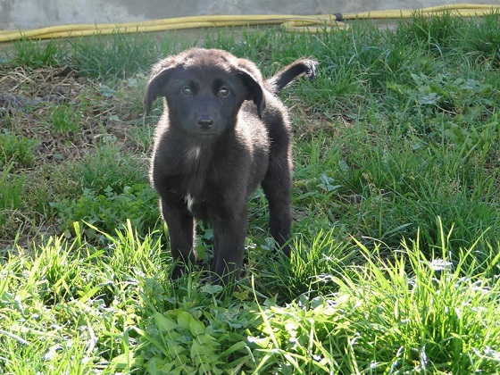 Foto: Zavetišče Meli center